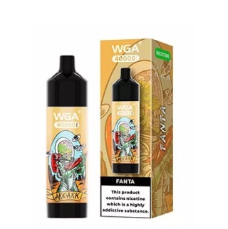 WGA 40 000 Digital Display Music Fanta