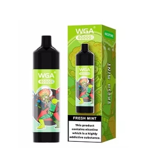 WGA 40 000 Digital Display Music Fresh Mint