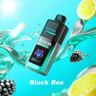 MerryMi Mecha Pro 20 000 Blackbox