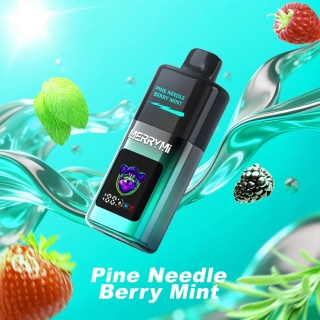 MerryMi Mecha Pro 20 000 Pine Needle Berry Mint