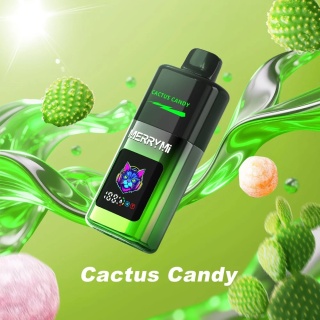 MerryMi Mecha Pro 20 000 Cactus Candy
